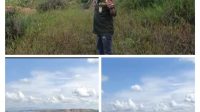 IMG-20260113-WA0087